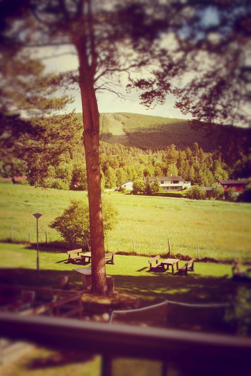 Dovrefjell Hotel Dombås Buitenkant foto